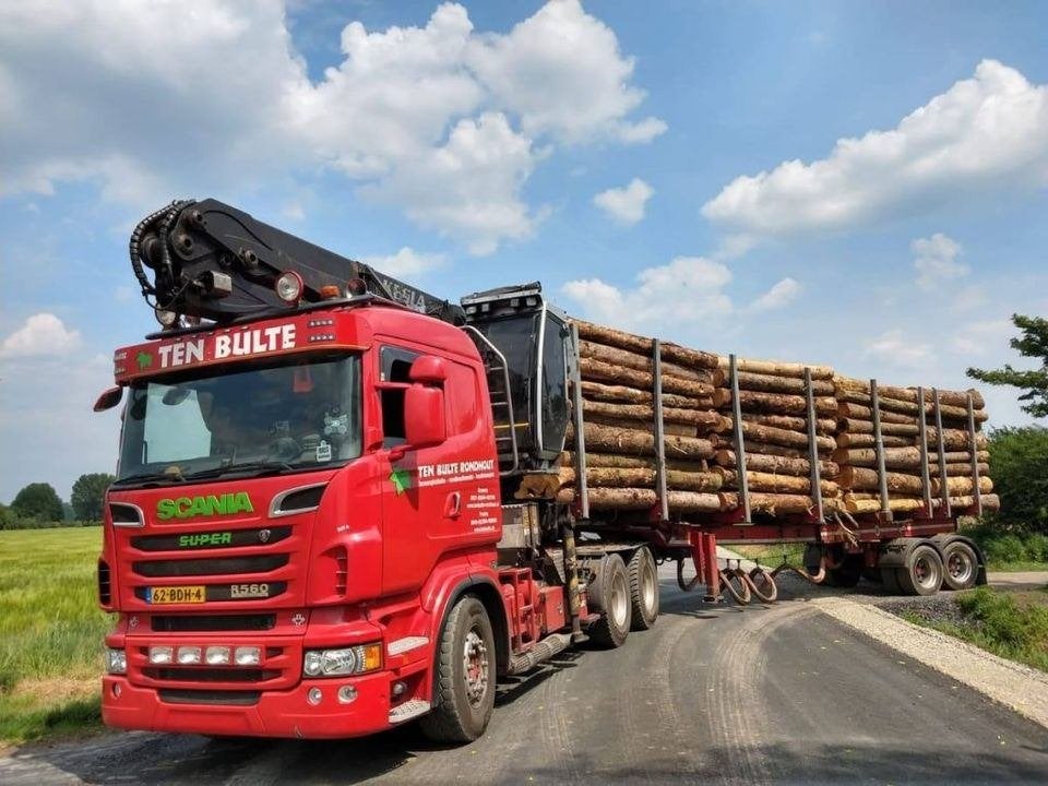 Brandhout rondhout, diverse houtsoorten en kwaliteiten, 6 m³ of meer, Ophalen, Stammen