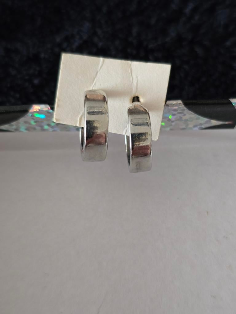 Te koop zilverkleurige oorbellen, stekers., Sieraden, Tassen en Uiterlijk, Oorbellen, Overige materialen, Ophalen of Verzenden