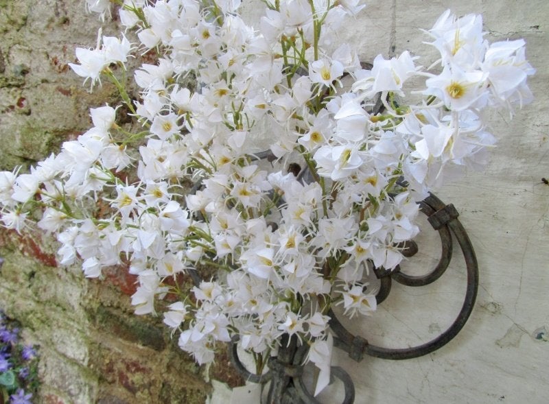 WITTE KUNST BLOEMETJES TAK, Ophalen of Verzenden, Nieuw