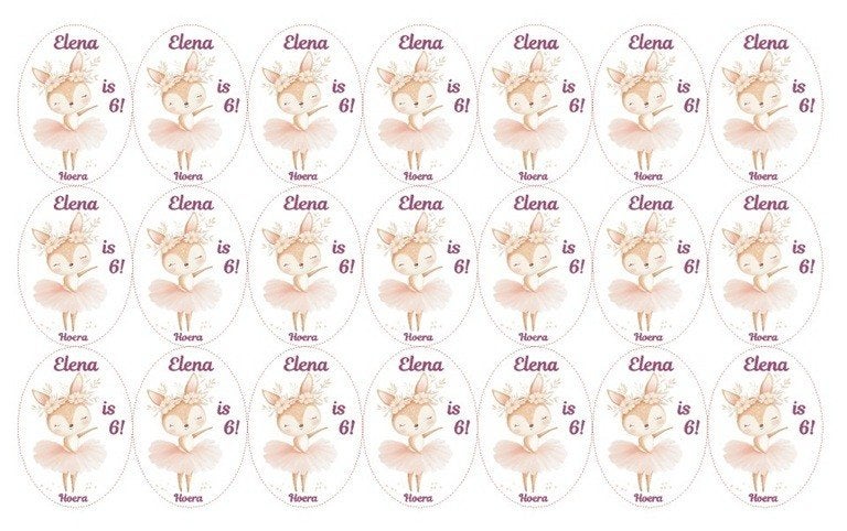 vel traktatie ballerina konijn stickers voor school opvang, The River House, Info@theriverhouse.nl, Overige typen, Nieuw