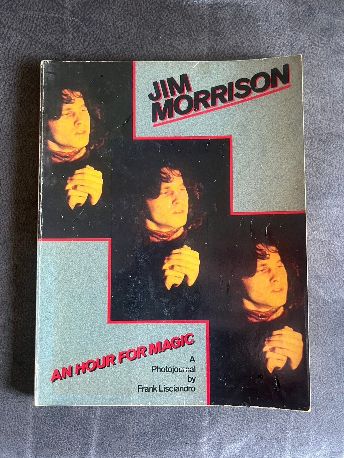 Vintage Boek Muziek Jim Morrison., Artiest, Ophalen of Verzenden, Zo goed als nieuw, Frank Lisciandro.