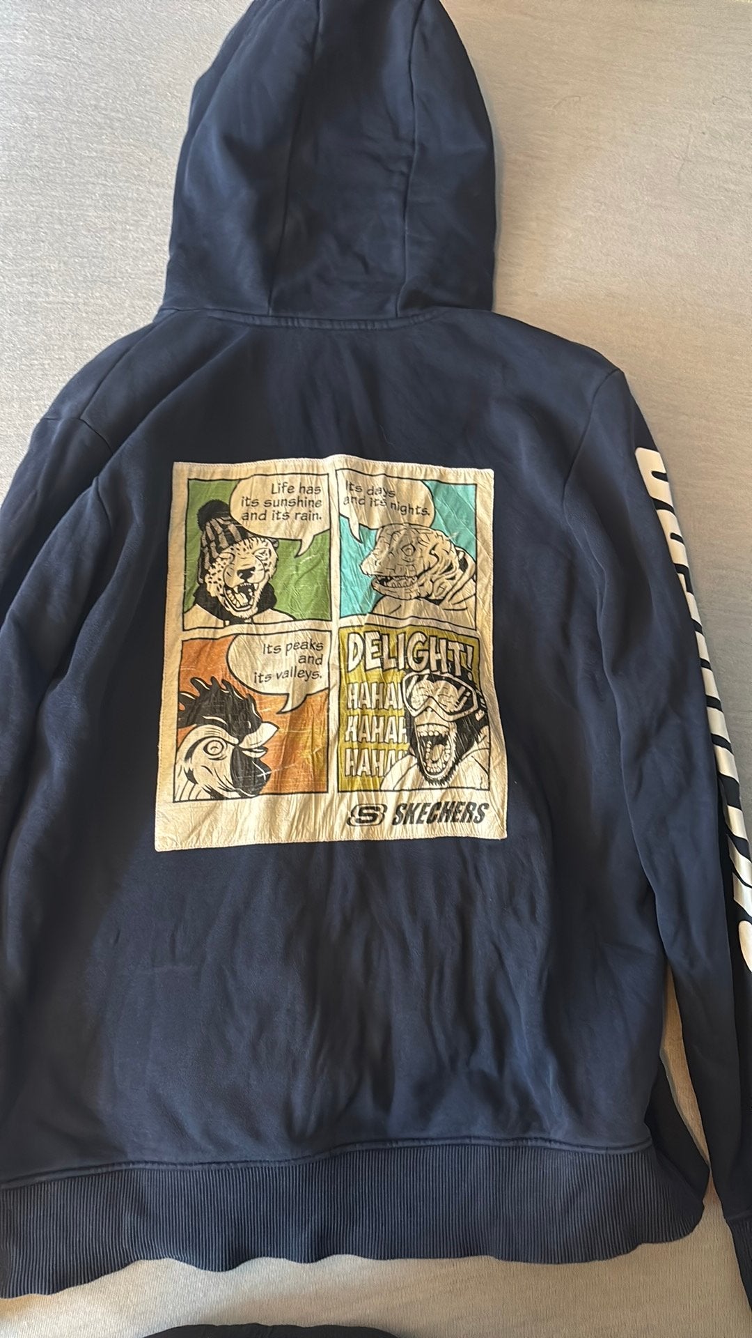 Hoodie, Kleding | Heren, Truien en Vesten, Ophalen, Gedragen, Blauw