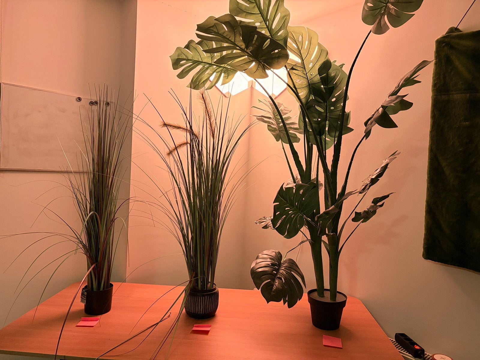 Plastic bloem, Ophalen, Minder dan 100 cm, Overige soorten, Zomer