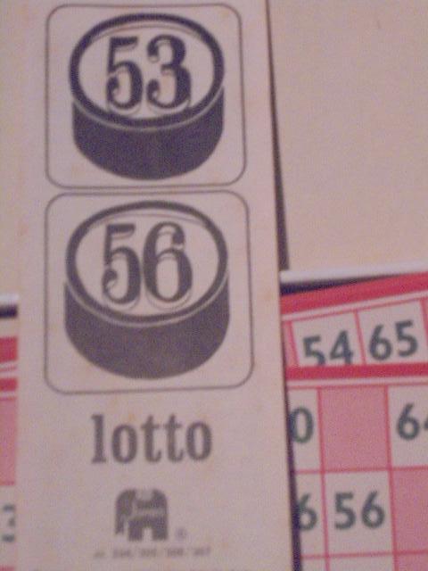 Oud Lotto spel van Jumbo, Hobby en Vrije tijd, Drie of vier spelers, Ophalen of Verzenden, Gebruikt, Jumbo spellen