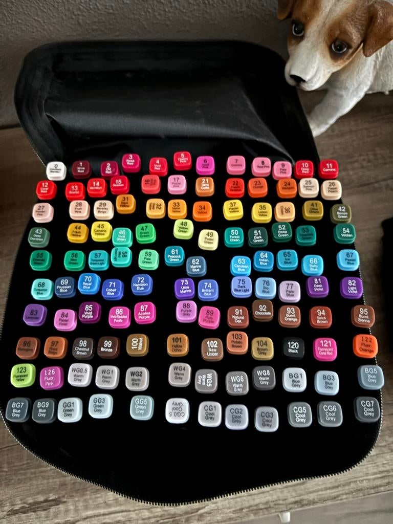120 Alcohol Twinmarkers in handige meeneemzak, Ophalen of Verzenden, Zo goed als nieuw, Potlood of Stift