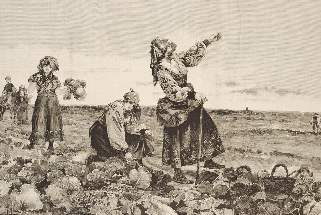 Spaanse boerinnen uit Salamanca op het land - Origineel 1897
