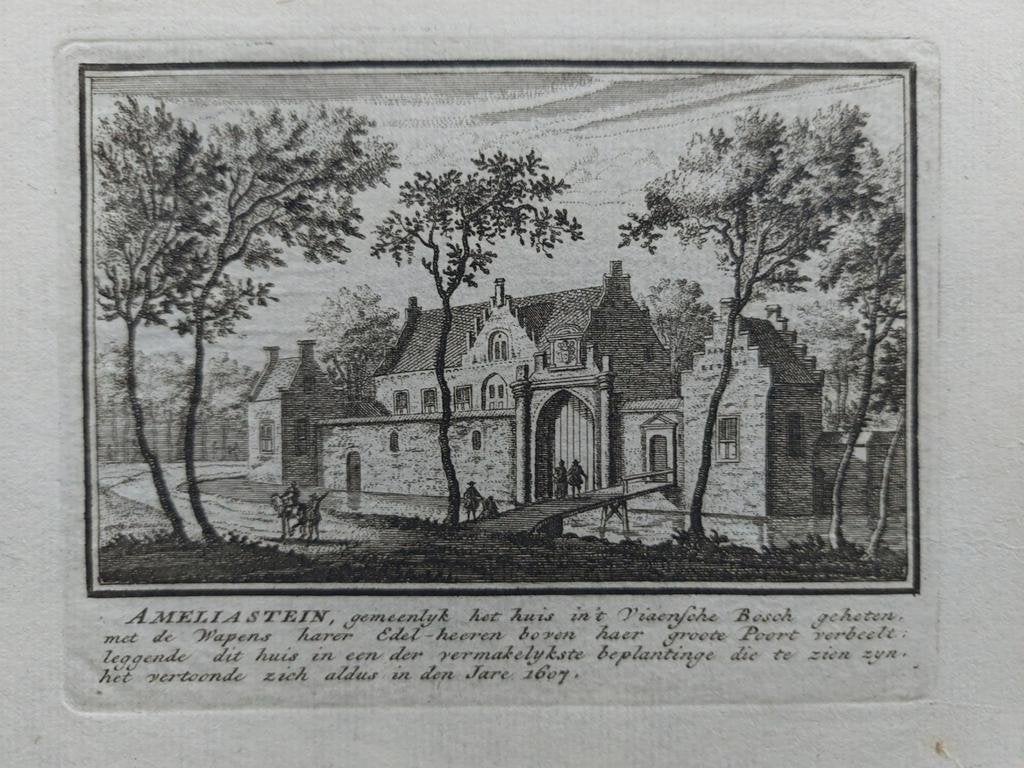 256 / Huis Viaensebos - Viaansebos te Vianen, Antiek en Kunst, Ophalen of Verzenden