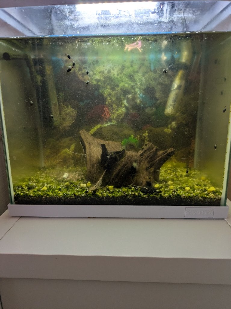 Aquarium met toebehoren, Ophalen, Gebruikt, Inclusief deksel, Leeg aquarium
