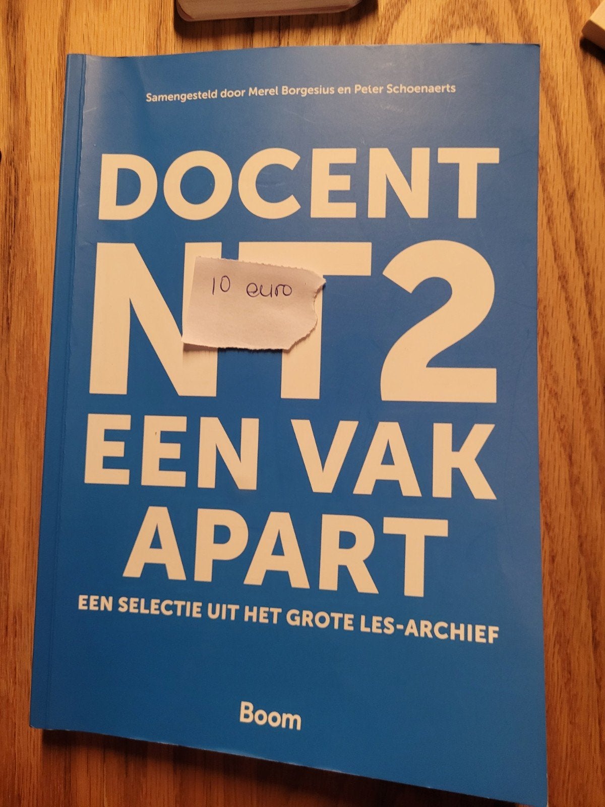 Docent NT2: Een Vak Apart - Lesarchief, Boeken, Ophalen of Verzenden, Zo goed als nieuw, Merel Borgesius en Peter Schoenaerts