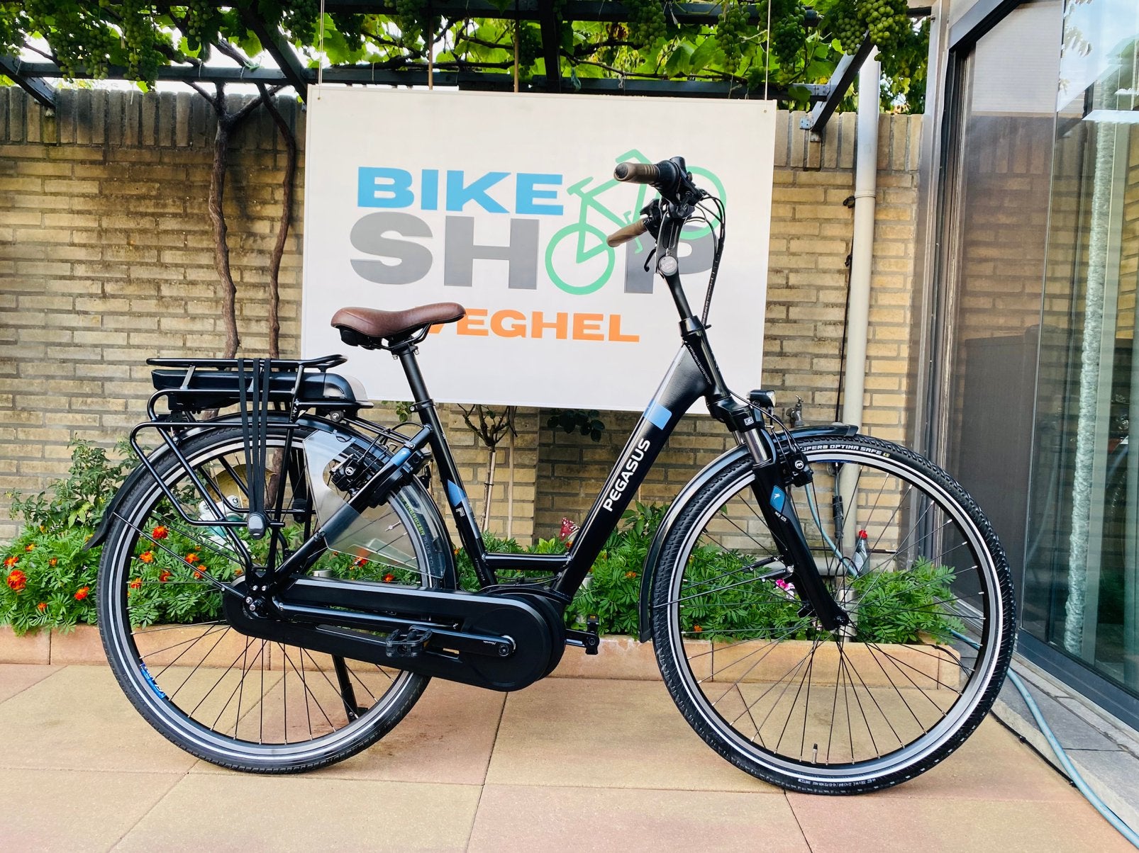 Elektrische Pegasus Bosch Middenmoto Active LinePlus.D50, Fietsen en Brommers, Fietsen | Dames | Damesfietsen, Ophalen of Verzenden