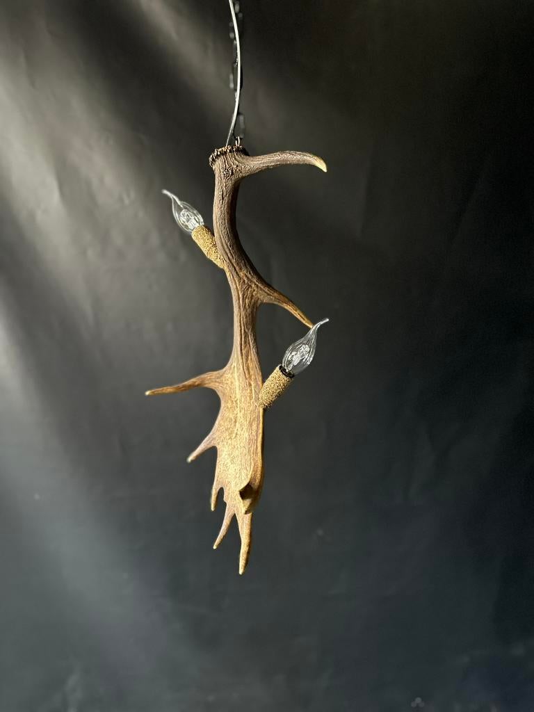 Geweienlamp.lamp.hanglamp.geweien.edelhert.damhert.brocante, Ophalen of Verzenden, Nieuw, 50 tot 75 cm