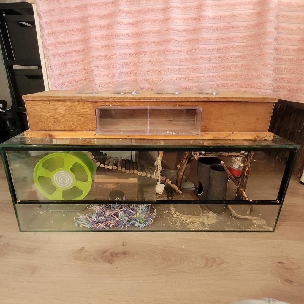 Hamster hok. Dwerghamsters en syrische hamster/goudshamsters, Ophalen, Kooi, Gebruikt, 60 tot 90 cm