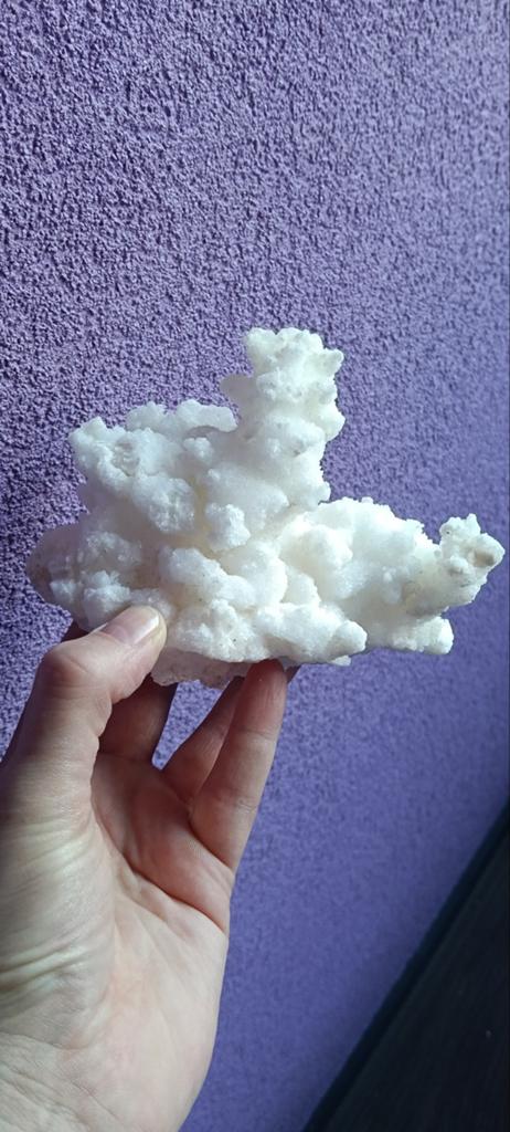 Ramshoorn Seleniet, Ophalen of Verzenden, Mineraal