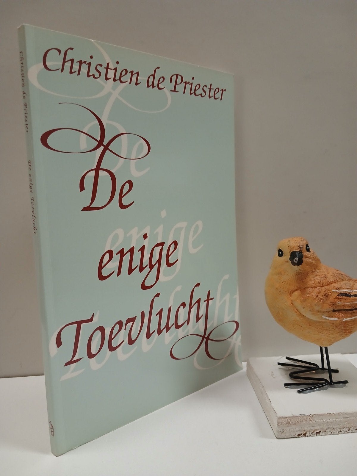 Priester, Christien de; De enige Toevlucht, Ophalen of Verzenden, Gelezen, Christendom | Protestants