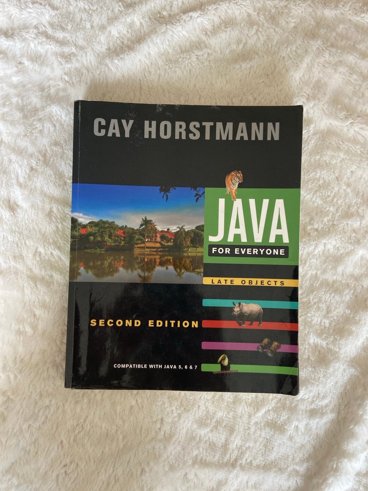 Java for Everyone: Late Objects - Tweede Editie, Ophalen of Verzenden, Beta, Zo goed als nieuw, HBO