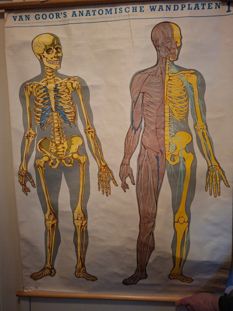 Diverse Anatomische wandplaten, Ophalen, Gelezen, 1800 tot 2000, Landkaart