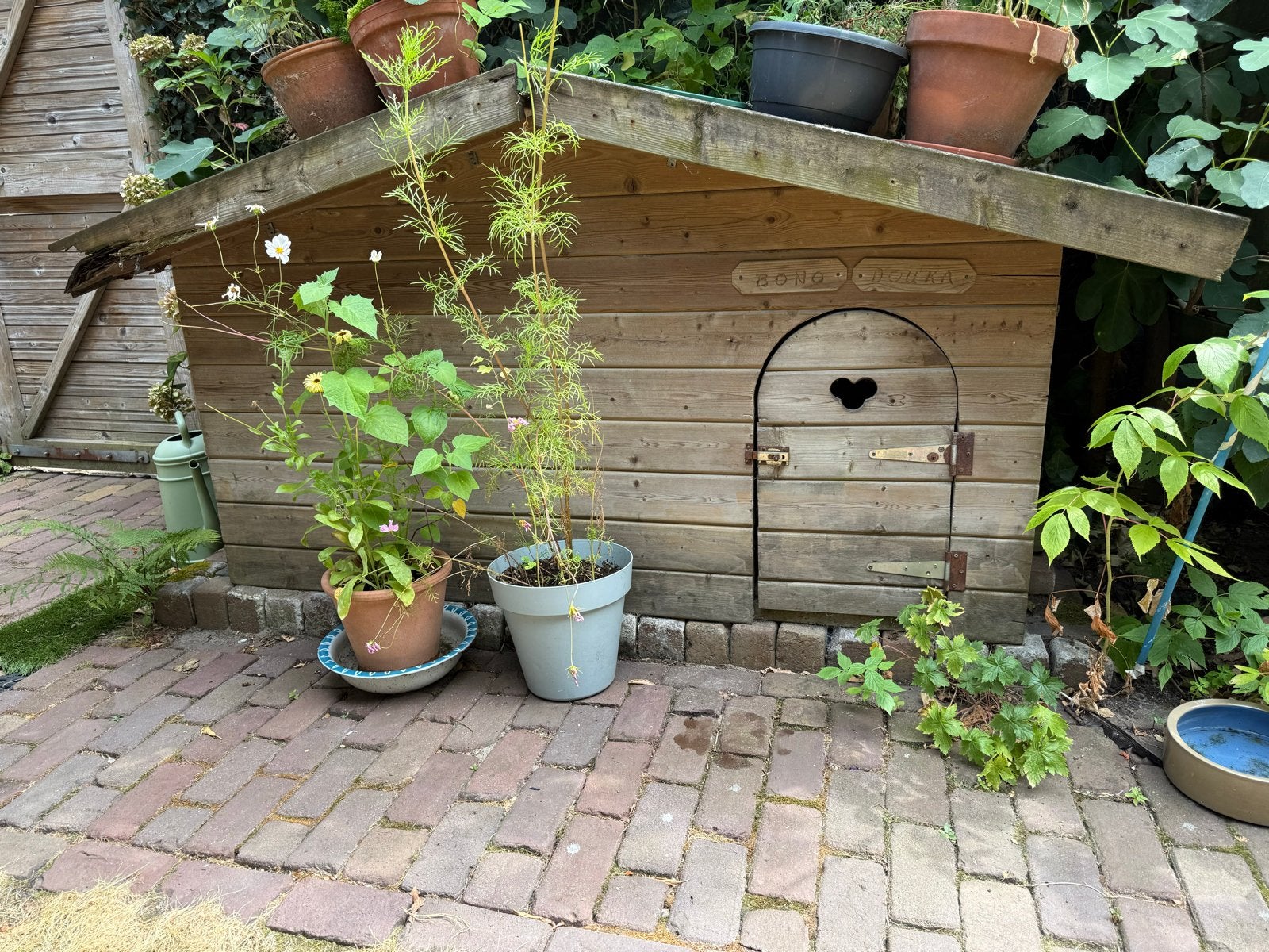 Zelfgemaakt hondenhok, groot (2 labradors+) met 2 deurtjes, Dieren en Toebehoren, Ophalen, 100 cm of meer, Hondenhok, 110 cm of meer