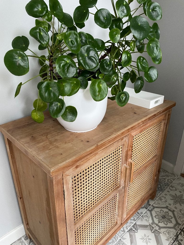 Mooi houten dressoir / kastje met rotan deurtjes (webbing), Huis en Inrichting, Ophalen, Gebruikt, 25 tot 50 cm, Met deur(en)