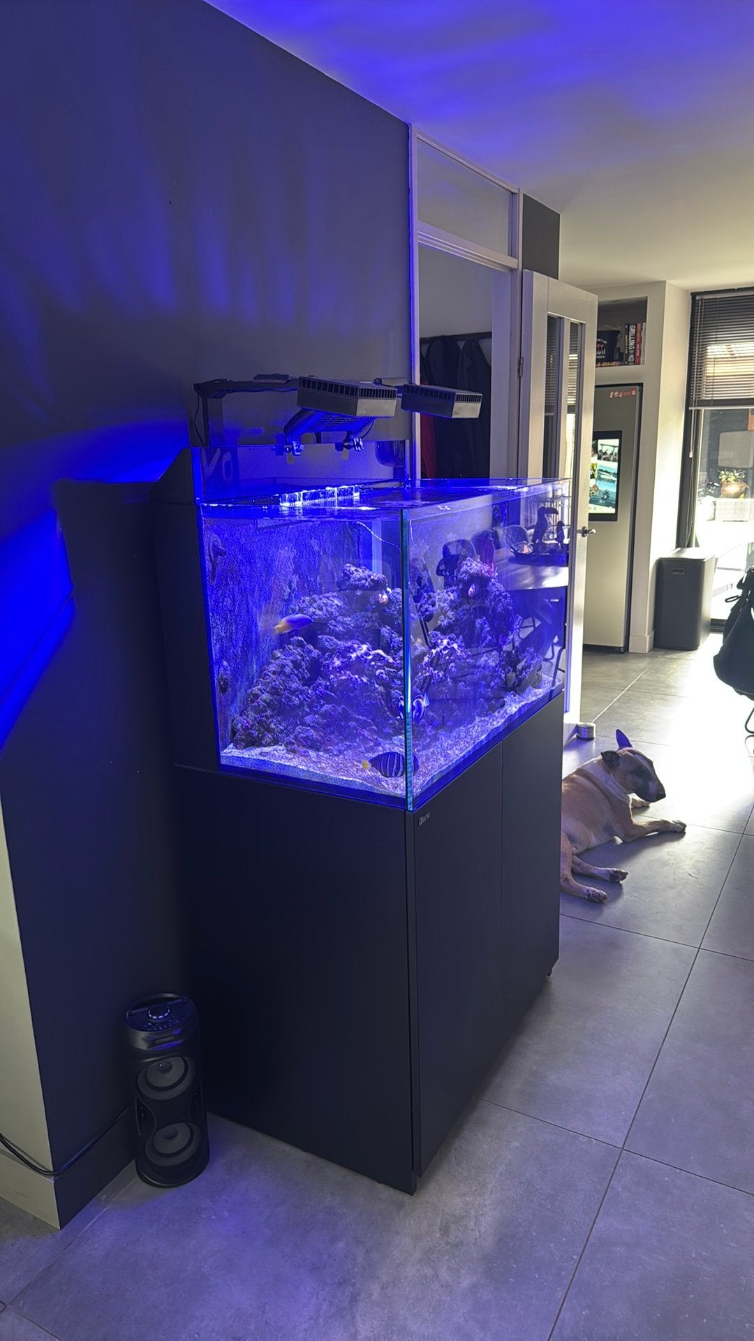 Red Sea Max E-260, Dieren en Toebehoren, Ophalen, Red Sea, Gevuld zeewateraquarium, Zo goed als nieuw