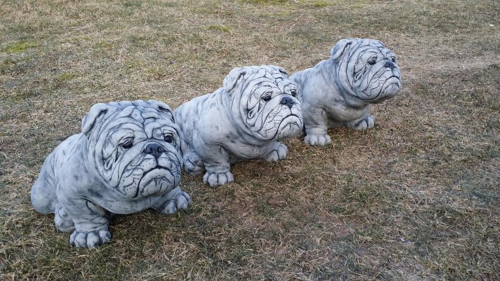 Prachtig Engelse Bulldog Tuinbeeld, Ophalen, Nieuw, Steen, Dierenbeeld