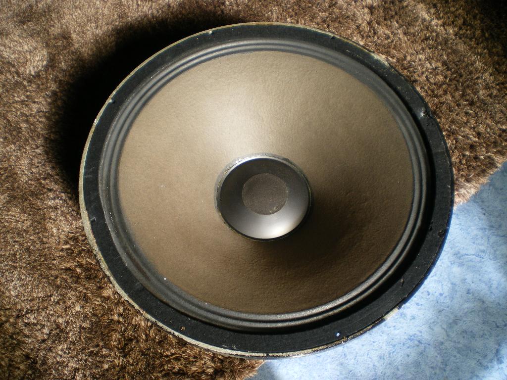 losse subwoofer celestion 18 inch, Overige merken, Subwoofer, Nieuw, Ophalen of Verzenden