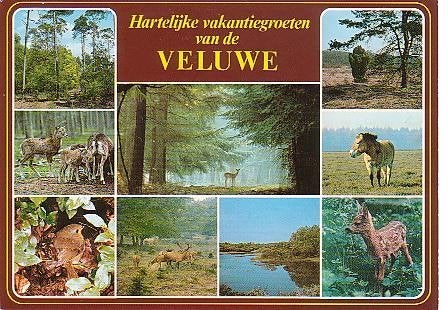 Ansichtkaart	Veluwe	9-luik, Verzenden, 1960 tot 1980, Gelopen, Gelderland