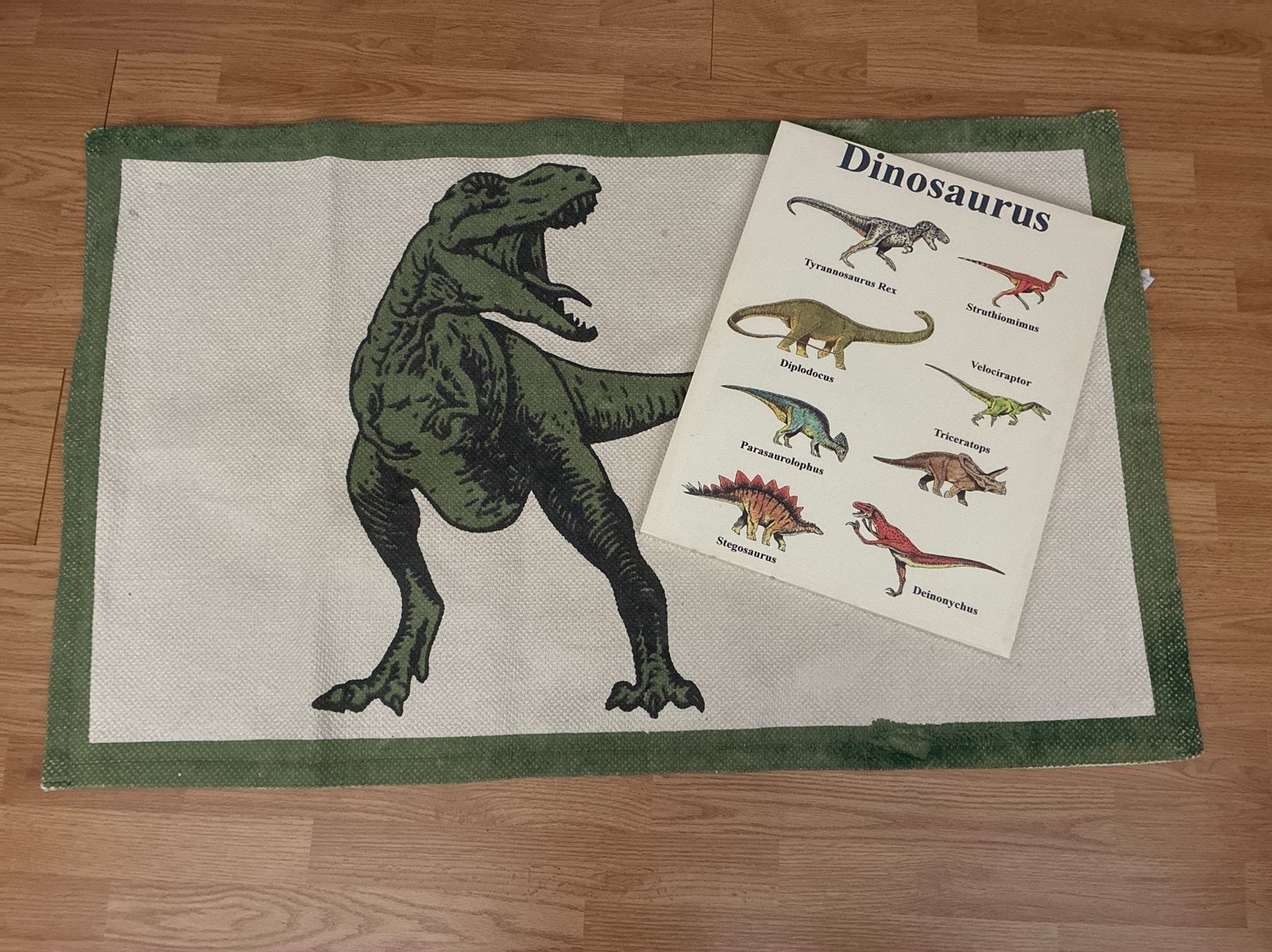 Dinosaurus vloerkleed en schilderij, Ophalen, Gebruikt, 100 tot 150 cm, 50 tot 100 cm