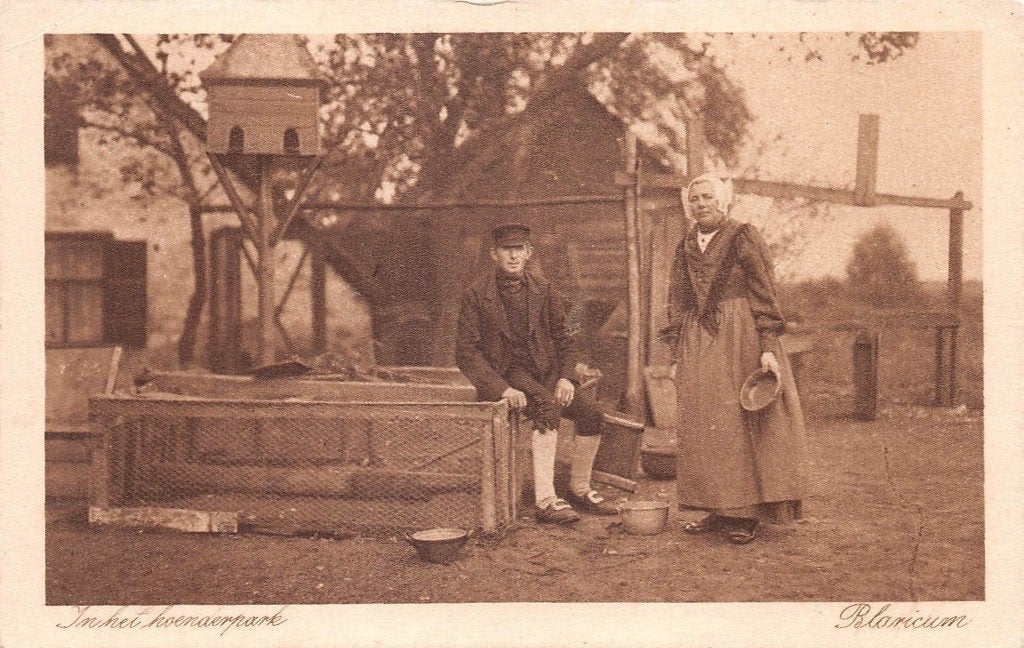 262 Blaricum - In het Hoendepark  1942  boerenleven, Verzenden, 1940 tot 1960, Gelopen, Noord-Holland