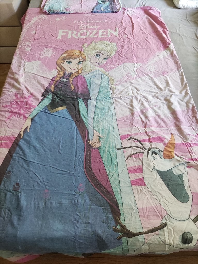 Frozen dekbedhoes + sloop, Gebruikt, Instopstrook, Meisje, Ophalen of Verzenden