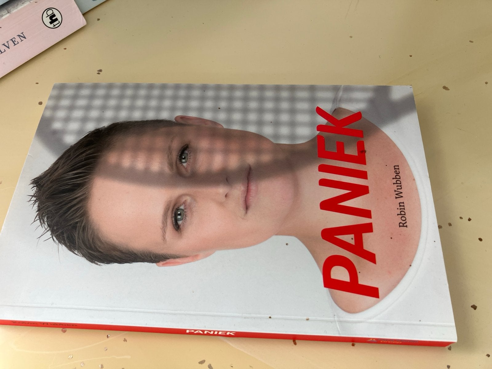 Paniek - Robin Wubben (Boek), Ophalen of Verzenden, Zo goed als nieuw, Nederland