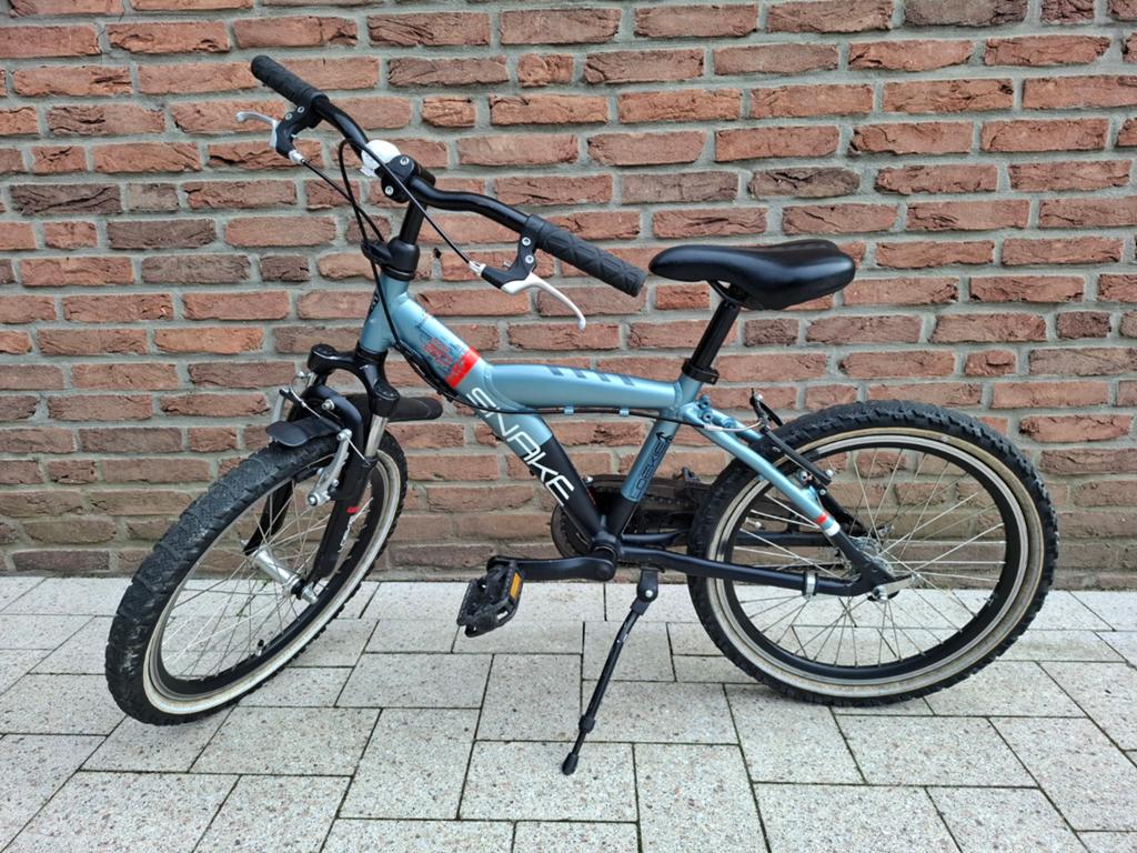 Kinderfiets/jongensfiets Loekie Snake 20 inch, Ophalen, Gebruikt, Loekie Snake, Terugtraprem