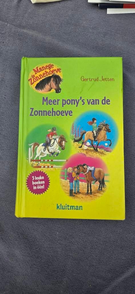 Meer pony's van de Zonnehoeve - Gertrud Jetten, Ophalen of Verzenden, Zo goed als nieuw, Gertrud Jetten, Fictie algemeen