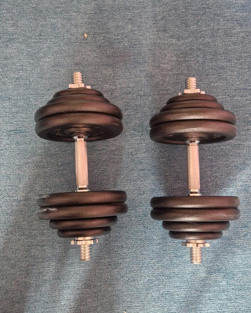 Gietijzeren dumbells / cast iron dumbells 2x 30kg, Ophalen, Zo goed als nieuw, Dumbbell
