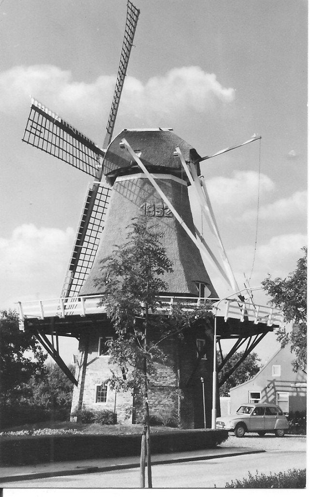 Ansichtkaart Molen Thesinge Groningen 1973, Ophalen of Verzenden, 1960 tot 1980, Ongelopen, Groningen