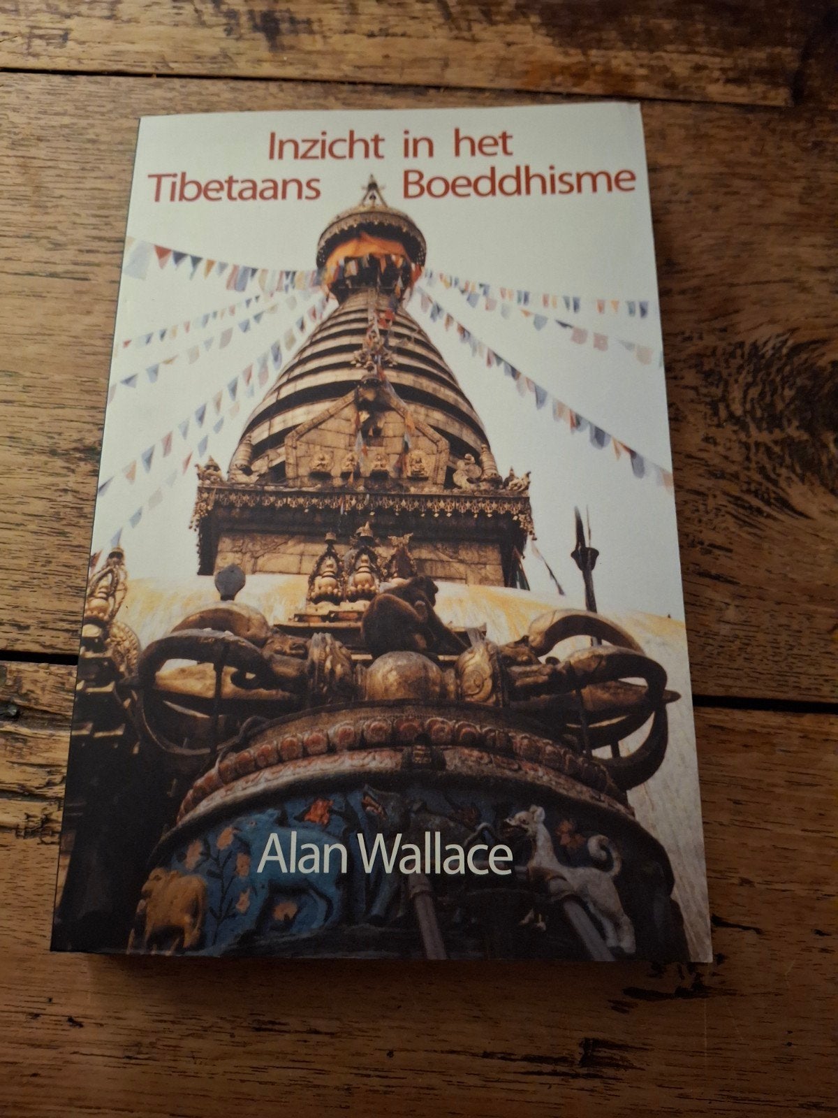 Steven Van Wilhelm - Inzicht in het Tibetaans boeddhisme, Ophalen of Verzenden, Zo goed als nieuw, Steven Van Wilhelm; Alan Wallace