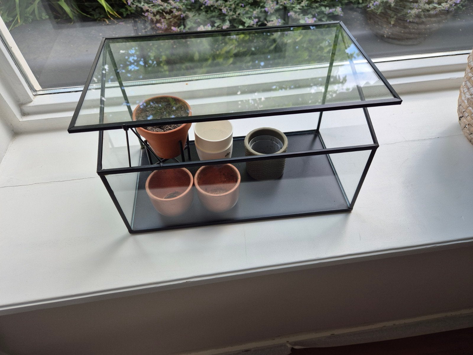Kweekkasje van glas met potjes - 20x30x25 cm, Ophalen