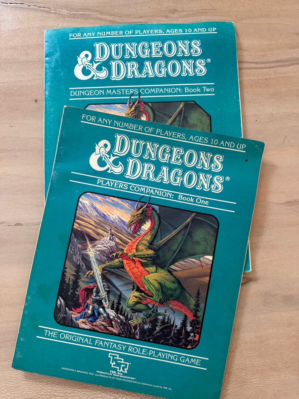 Dungeons & Dragons: Players & Dungeon Masters Companion, Ophalen of Verzenden, Gelezen