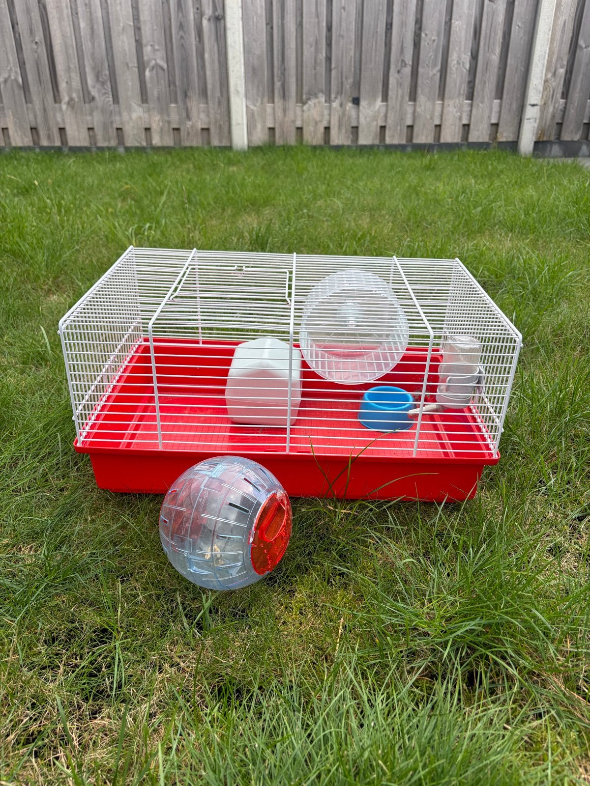 Hamsterkooi met toebehoren, Ophalen of Verzenden, Gebruikt