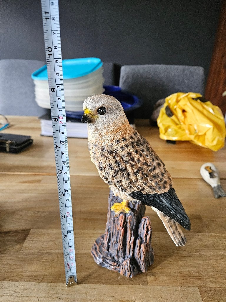 Vogel Polystone, Ophalen of Verzenden, Gebruikt, Dier