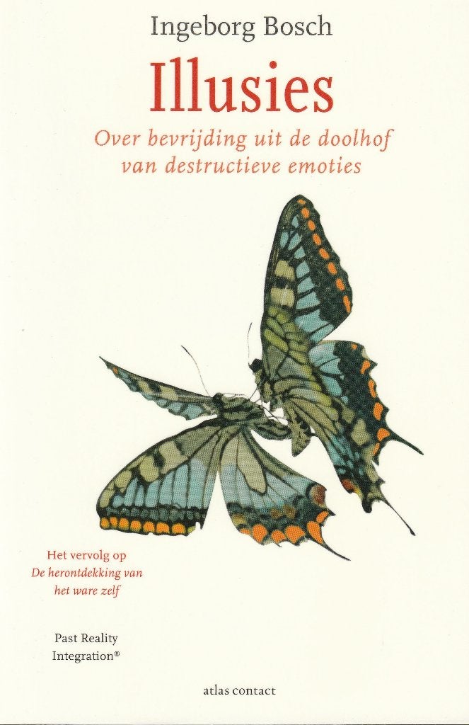 Ingeborg Bosch, Illusies, Ophalen of Verzenden, Zo goed als nieuw, Cognitieve psychologie