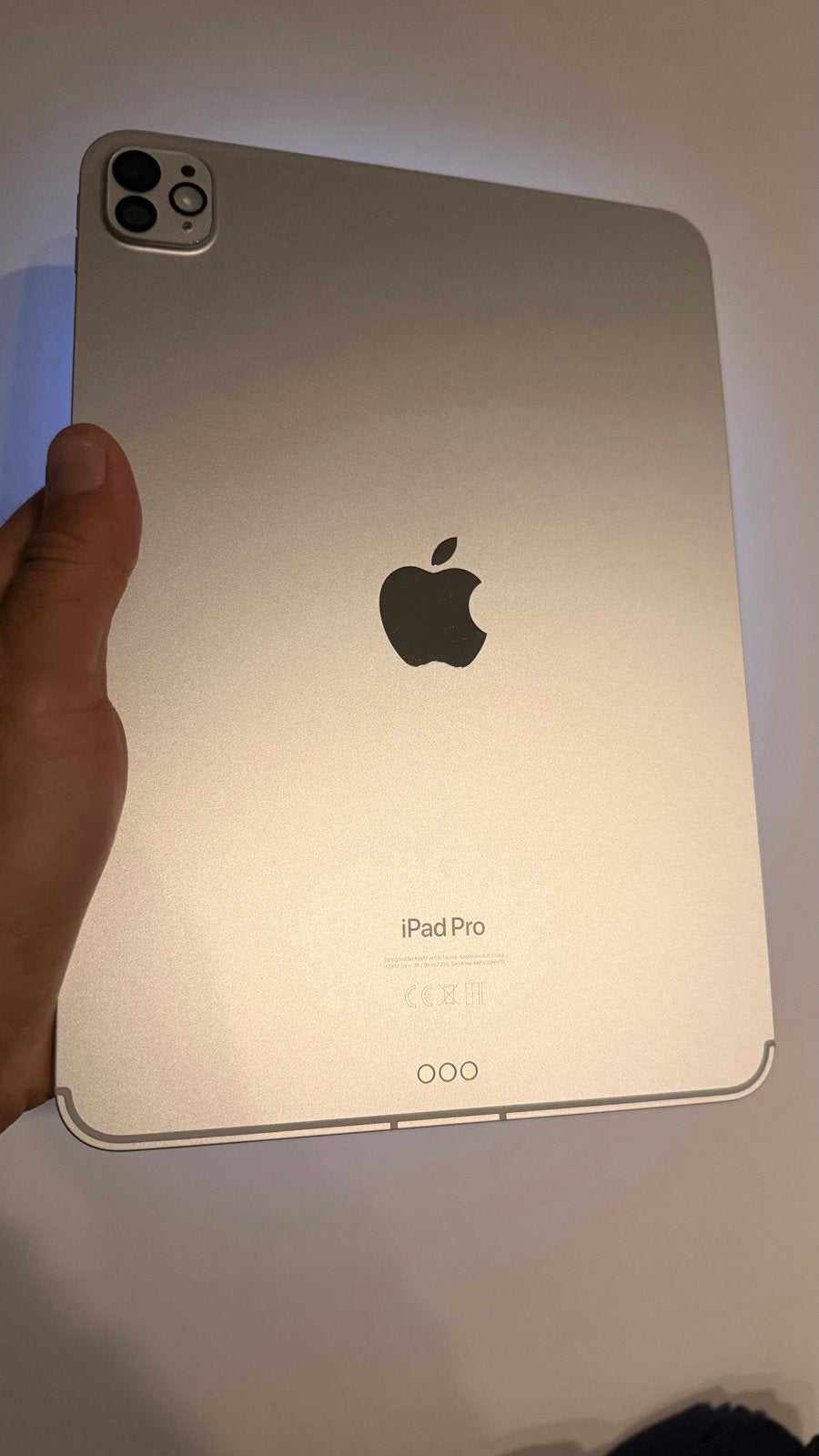Apple iPad Pro 11" M4 WiFi + 5G 256GB Zilver zgan inc case