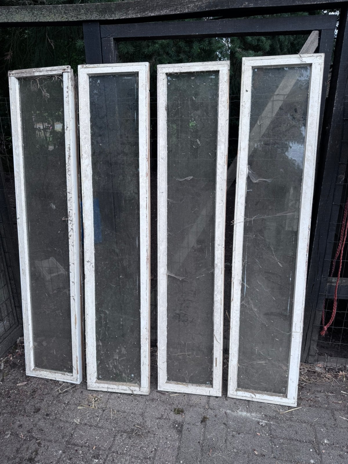 6 ruiten 173,5 x 35,5 enkel glas voor kas, kippenhok, schuur, Ophalen, Zo goed als nieuw, Minder dan 80 cm, Gevelraam of Ruit