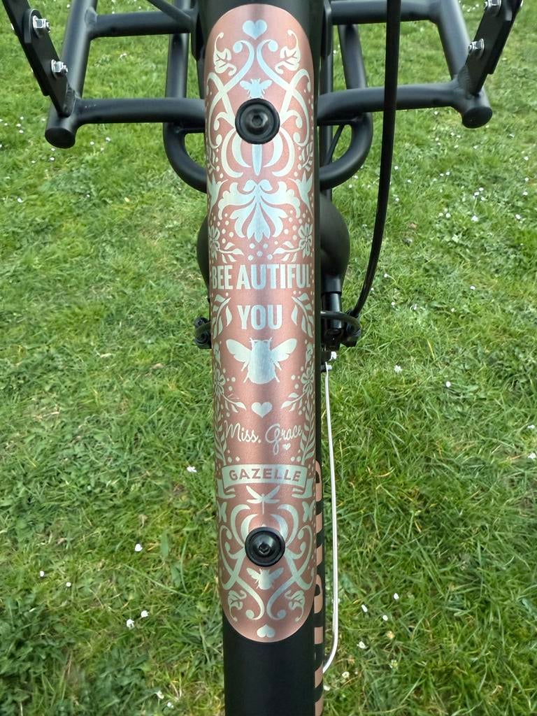 Gazelle Dames Elektrische Fiets, Fietsen en Brommers, 51 tot 55 cm, Ophalen, Gebruikt, Gazelle