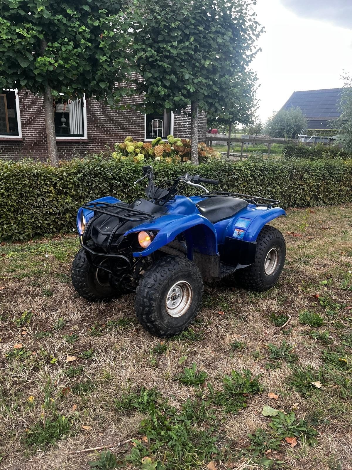 Yamaha Grizzly Quad atv 125cc, Motoren, Quads en Trikes, 125 cc