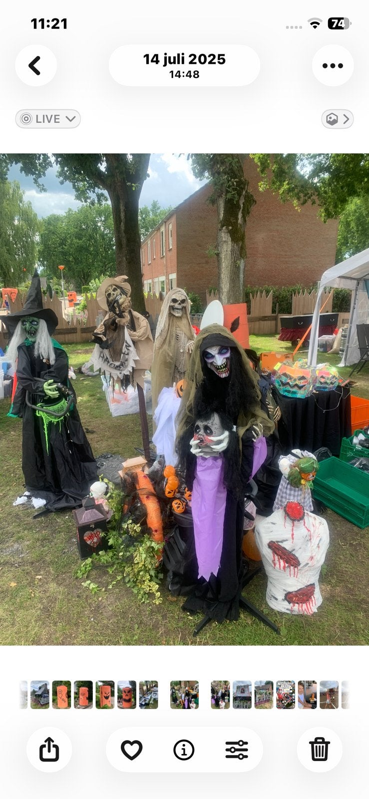 Te huur !!! Halloween Decoratie :Verlichting,, Gebruikt, Overige thema's, Meerkleurig, Ophalen of Verzenden