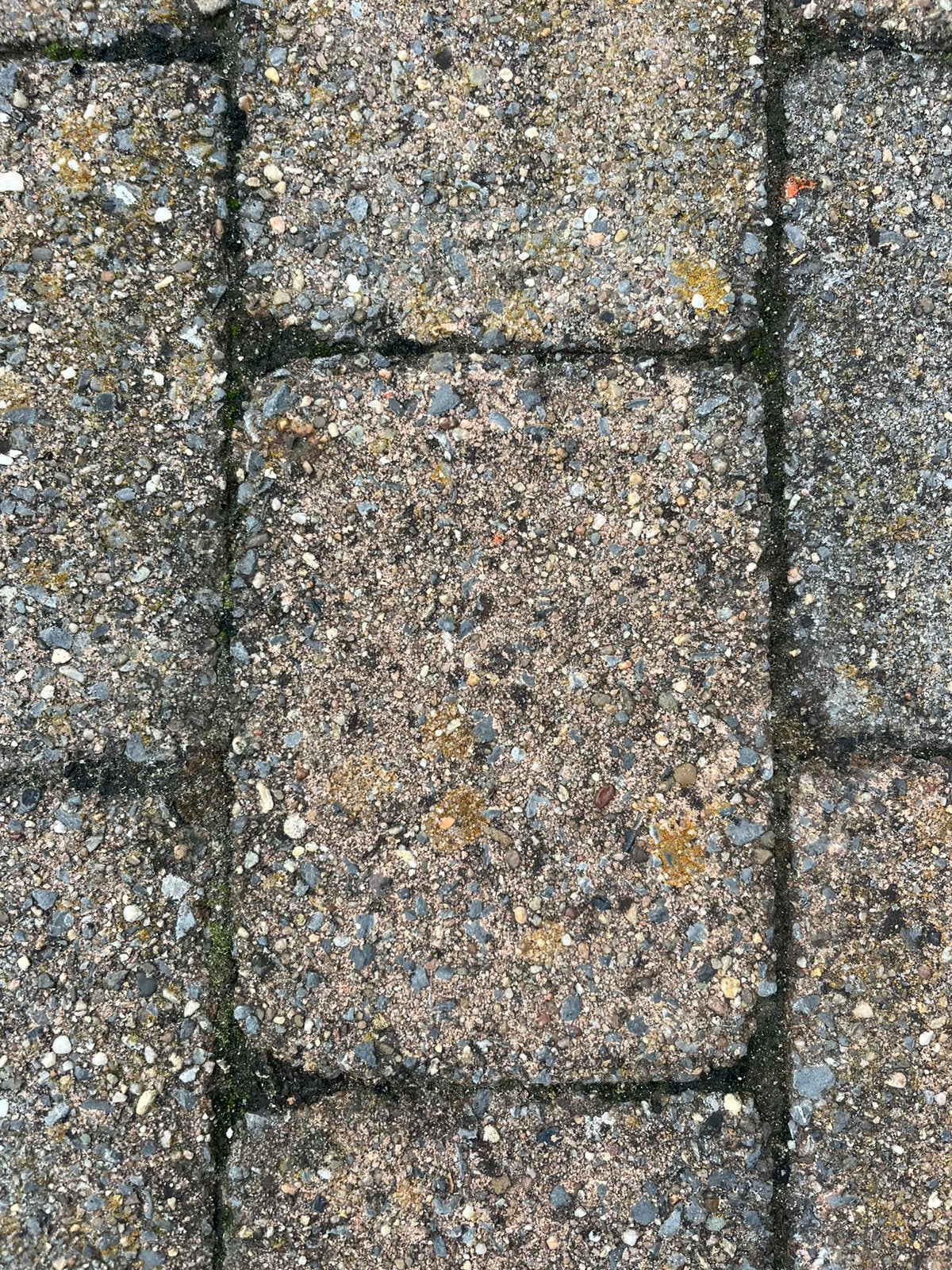 ivm nieuw terras! Gratis en krijg 250 euro!, Tuin en Terras, Ophalen, Gebruikt, 10 m² of meer, Beton