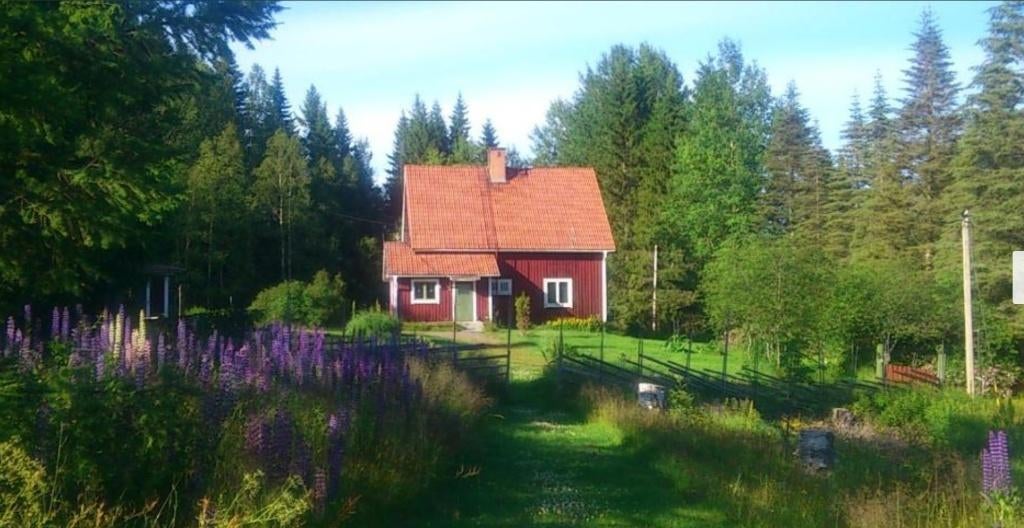 huis buitenland, Overige soorten, Overig Europa, Landelijk, Orsa