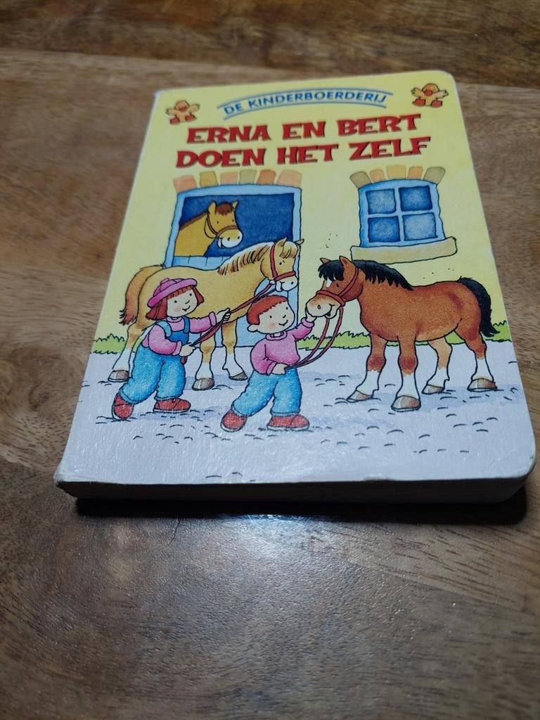Erna en Bert doen het zelf, Ophalen of Verzenden, Gelezen, Non-fictie