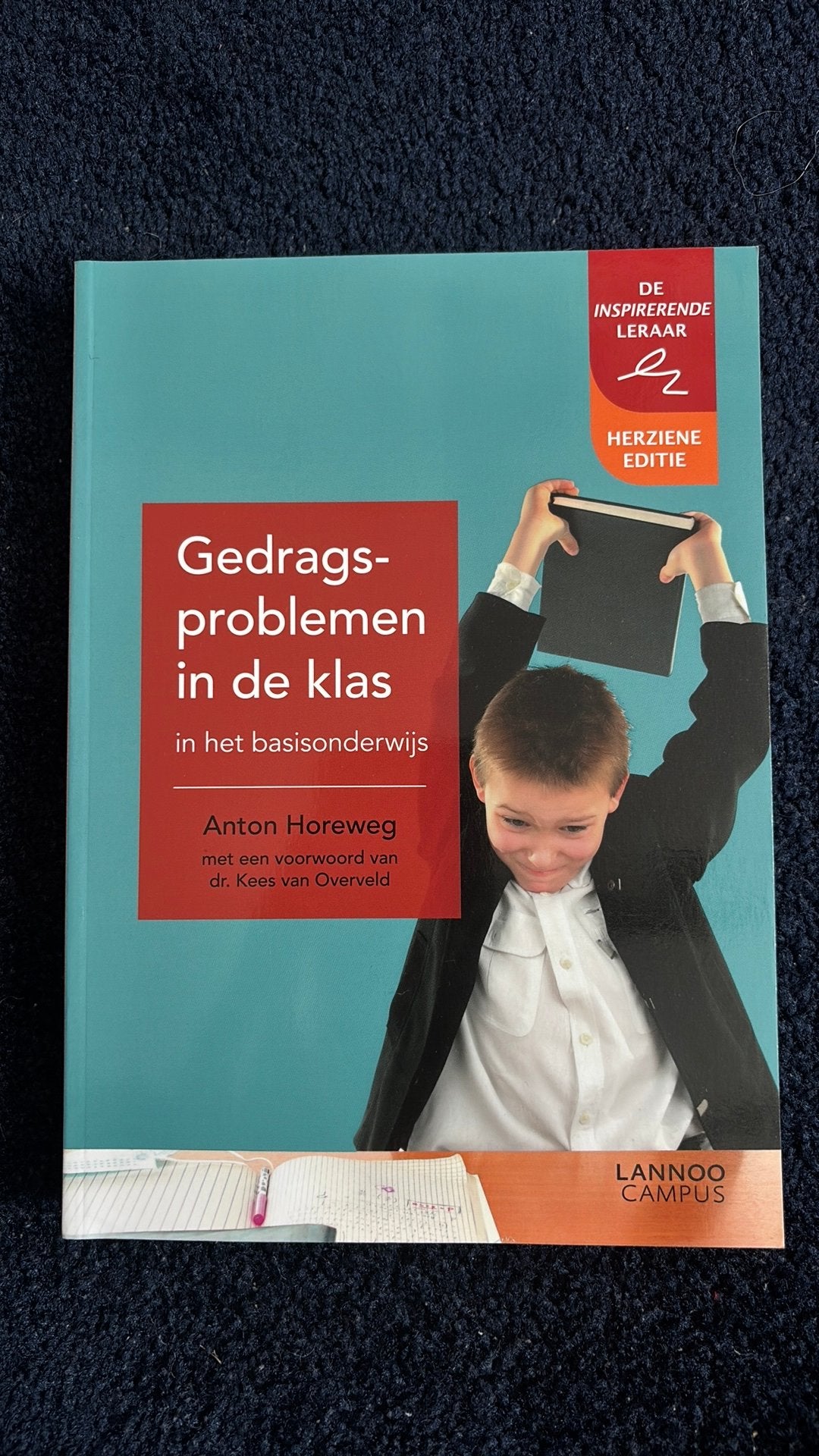 Gedragsproblemen in de klas - Anton Horeweg, Boeken, Studieboeken en Cursussen, Zo goed als nieuw, Gamma, Anton Horeweg, HBO