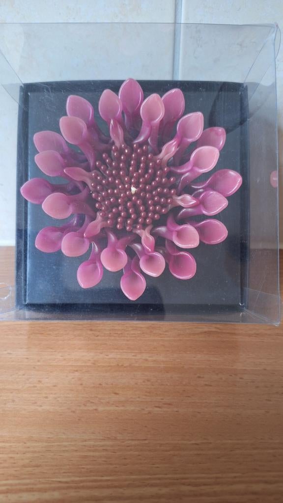 Bloem Kaars - Blooming Bliss, Overige materialen, Overige kleuren, Nieuw, Ophalen of Verzenden